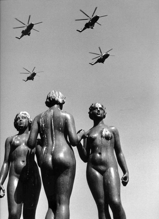 10151007_10151911787031371_107941238_n