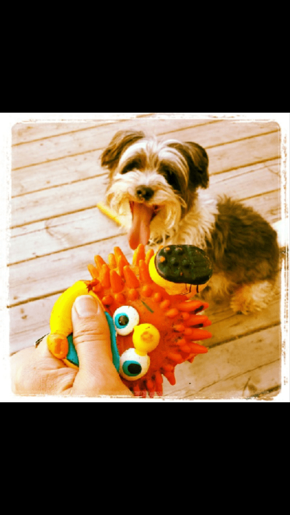 Screenshot_2014-05-31-09-16-39